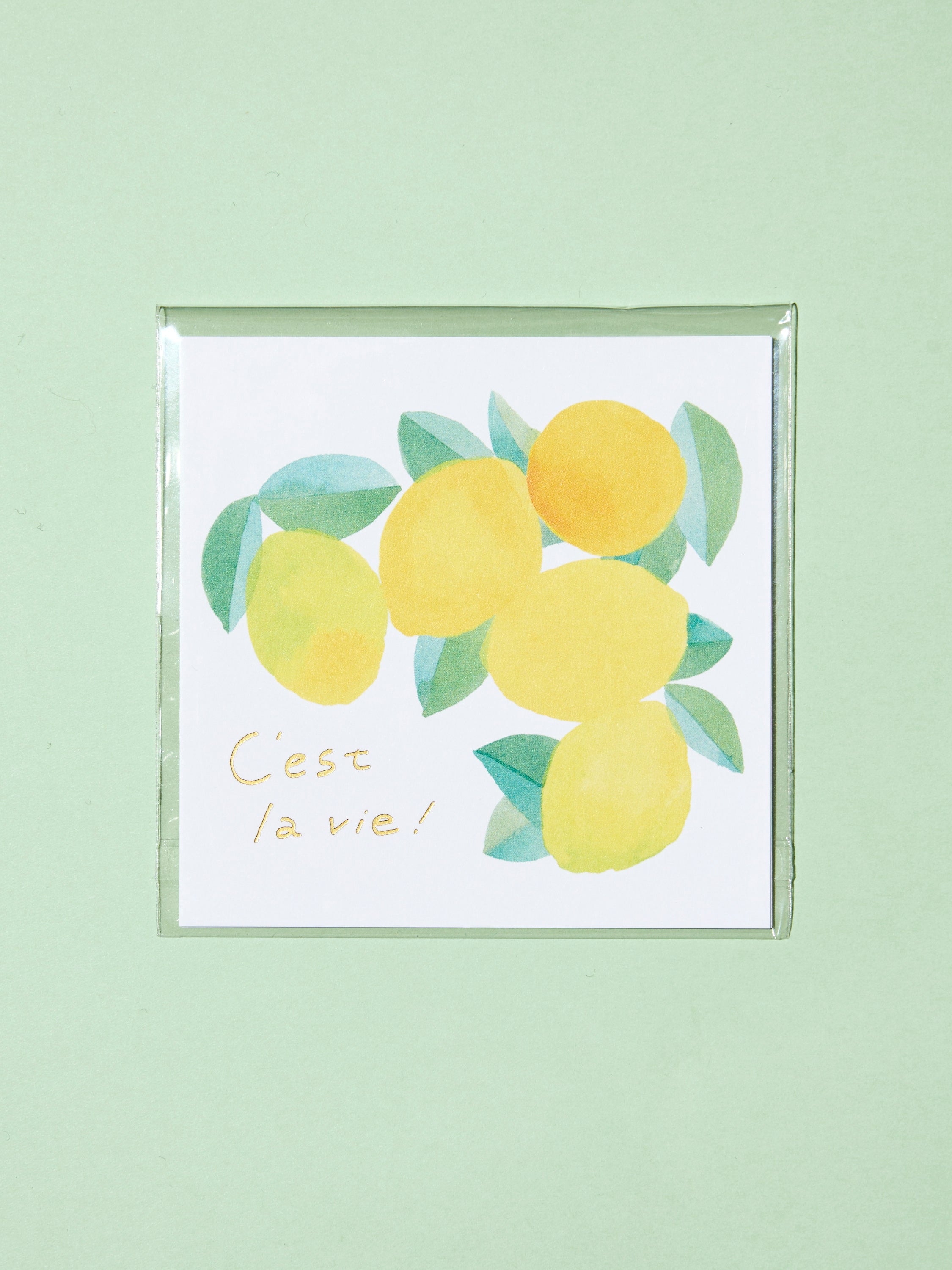 箔押しミニカードセット | ces lavie